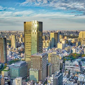 ***** Hotel The Ritz-carlton, Giappone